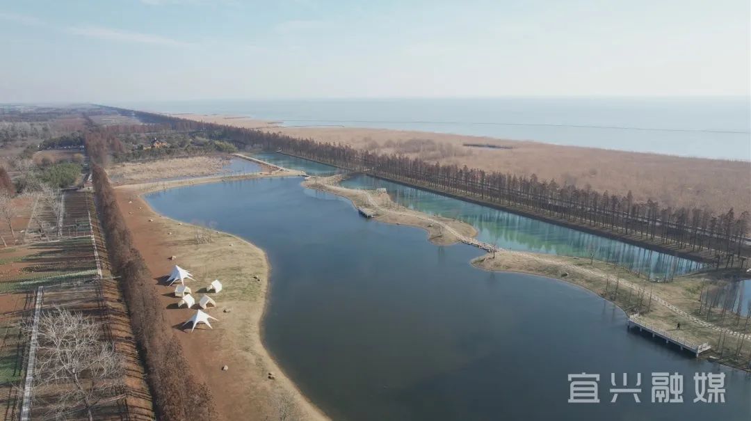DiscoverYixing's tweet photo. Home to a rich diversity of wetland ecosystems, Yixing has been taking steps to restore degraded wetlands and protect the natural environment, developing a green and comprehensive framework💚that combines ecotourism, effective agriculture and recreation.🎉 #YixingDevl https://t.co/N5OfB8EIIi