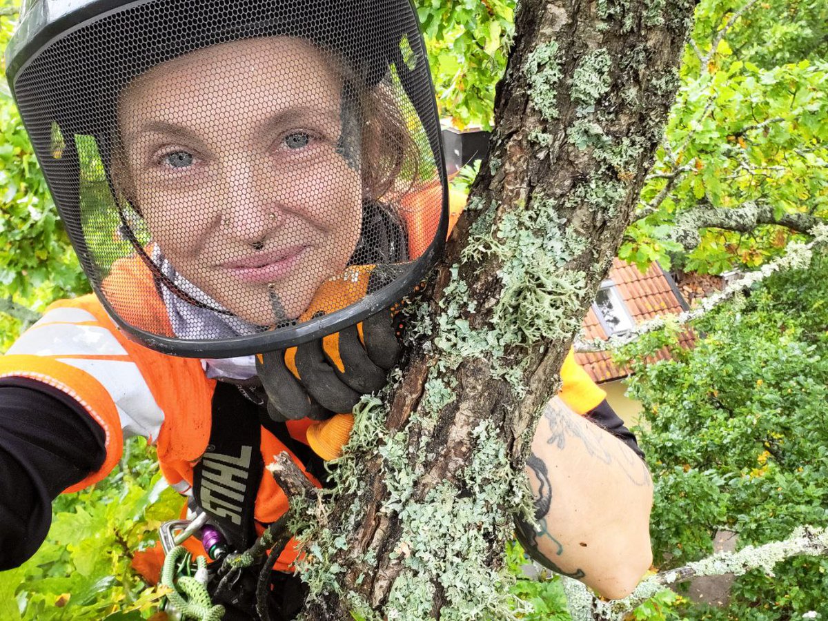 #LevmoTrädvård #Arborist  #Trädvård #Träd #Beskärning #Fruktträdsbeskärning #GröntKort #Trädfällning #Sektionsfällning #Trädgård 
#Södermanland #Trosa #Vagnhärad #Nyköping #Eskilstuna #Flen #Gnesta #Katrineholm #Oxelösund #Strängnäs #Vingåker #Södertälje #Hölö #Järna #Nykvarn