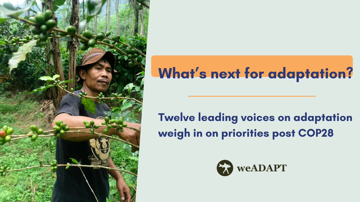 🌏 With #COP28 now behind us, and a critical year ahead, what should the #adaptation community focus on? 🗣️ 12 leading voices on #climateadaptation share what they believe are the top priorities to address urgent adaptation needs worldwide. bit.ly/48UtExN