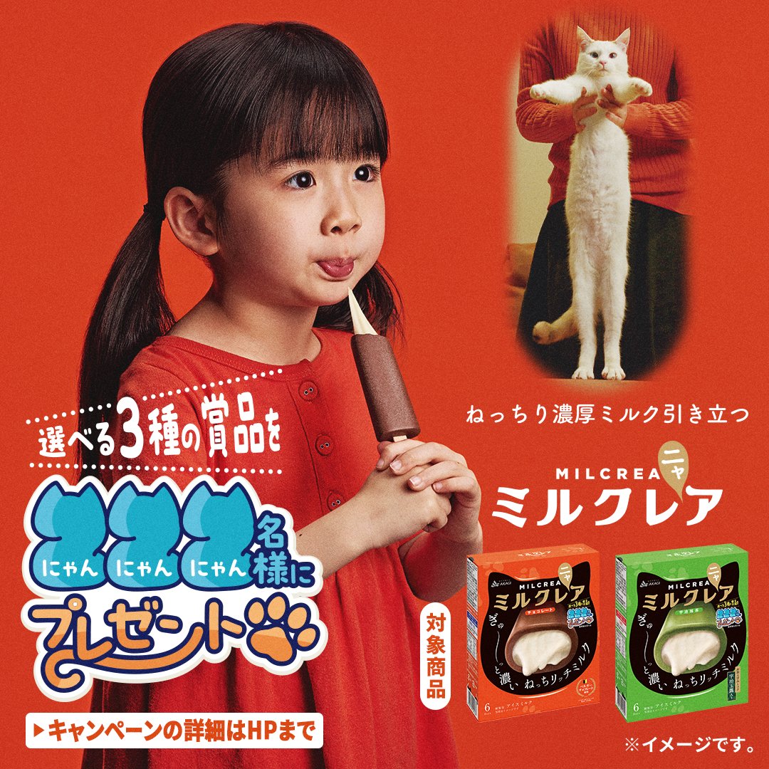 【のん猫。】（赤360g）2袋★【特割特価】 ビューティープロ キャット 1歳から 成猫用 フィッシュ味 600g