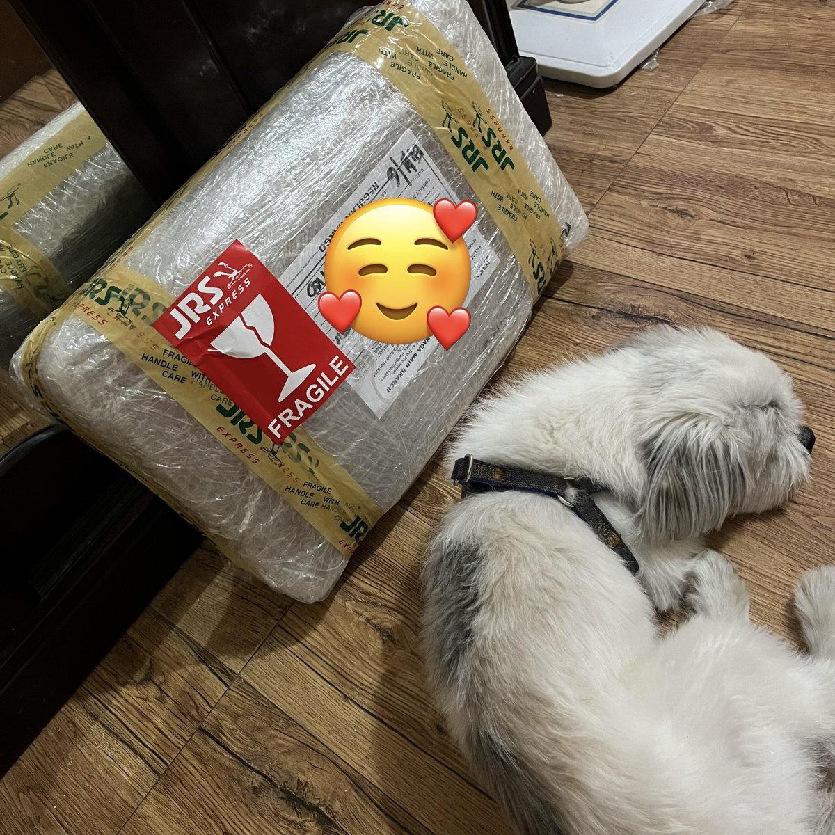 0718inparis's tweet photo. ✨ #SFPHFeedback #PakSFPH ✨
As always, @springfallph~
Thank you so much for giving extra care and love sa budol na ‘to. Nainspect na din po ni Kumori baka may dentastix daw sya. https://t.co/z8RyNRsbsK