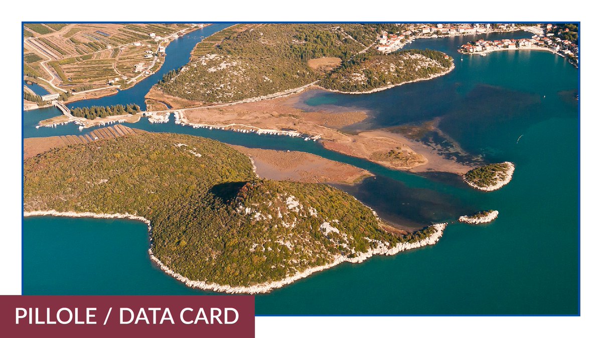 OpenCoesione's tweet photo. 🌿In occasione del #WWD2024, #DataCard su
4⃣ progetti finanziati dalle politiche di coesione dedicati alla conservazione, recupero e gestione coordinata delle💦zone umide del Veneto, Sardegna e nell’area transfrontaliera Italia-Croazia

👉https://t.co/rpdzIwydj6

#CoesioneItalia https://t.co/A2TUCa0JH1