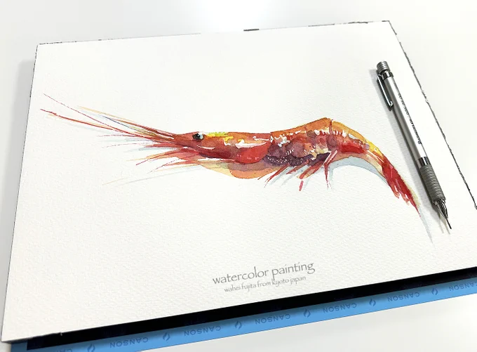 甘エビ。描いて晩御飯に。#Watercolor #スケッチ #水彩画 #透明水彩 #京都水彩画塾  #京都の絵画教室 