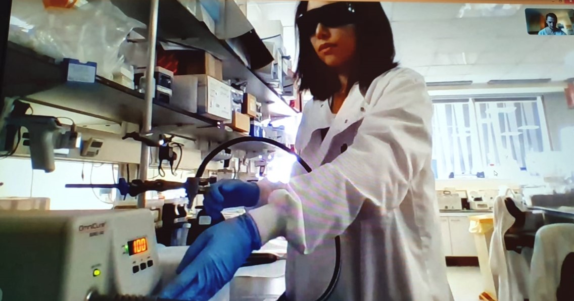 Eileen Gentleman Lab tweet media