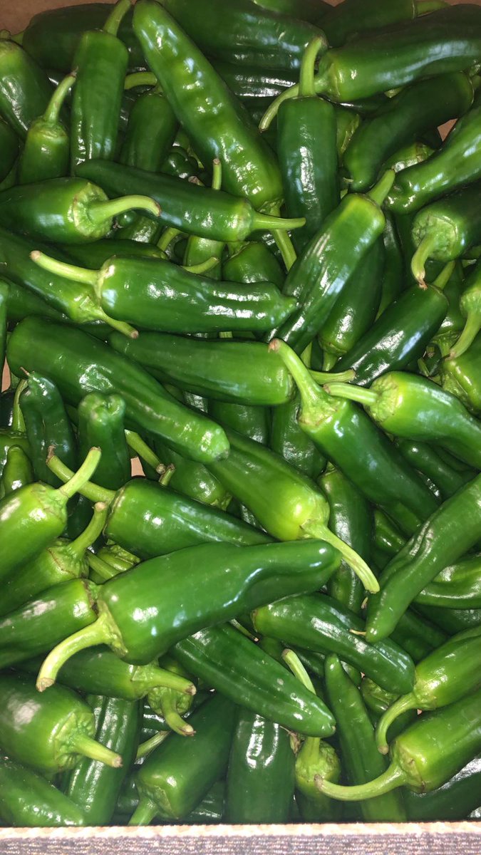 Green🟢 &amp; Red 🌶️Chillies and Padron✅ Peppers now with us! 🚚📞🤩
#Chillicious #Pepperfectness #NicolasGarden