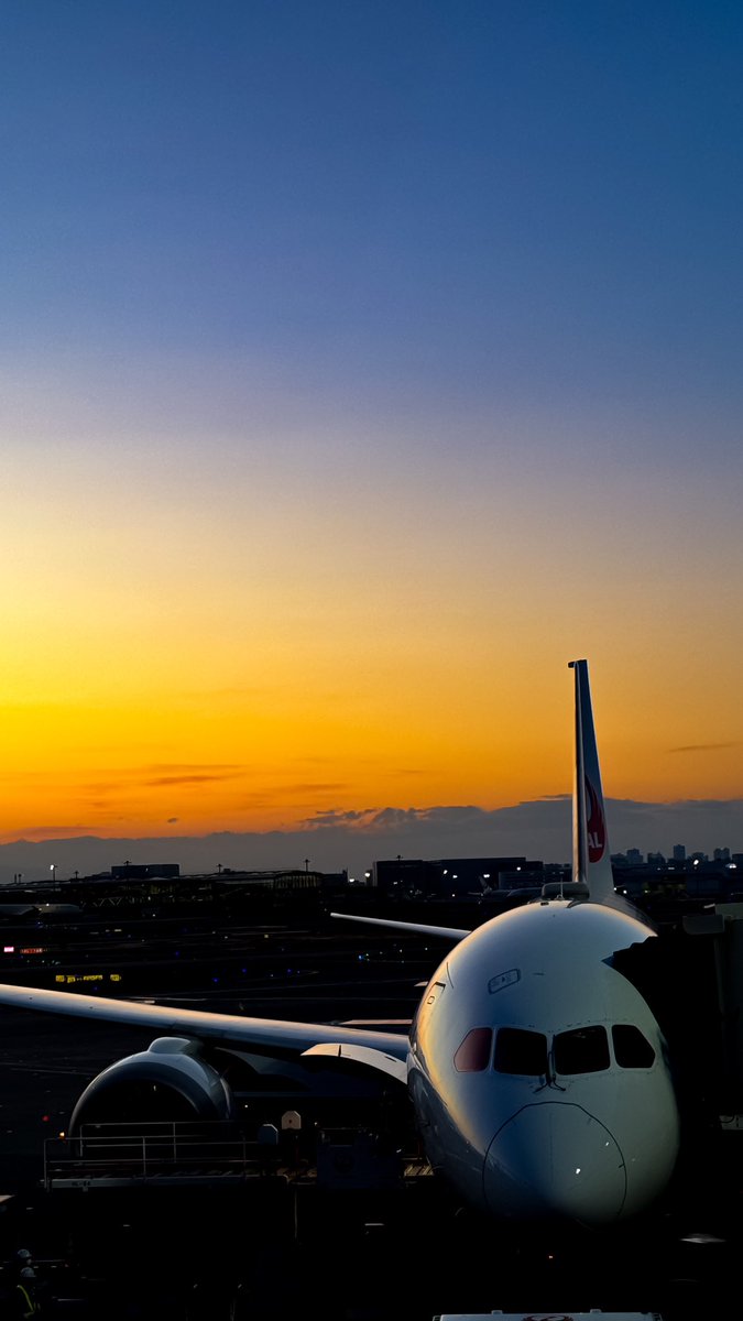 Kaname147's tweet photo. Flying home. https://t.co/ADjfuoAnoo