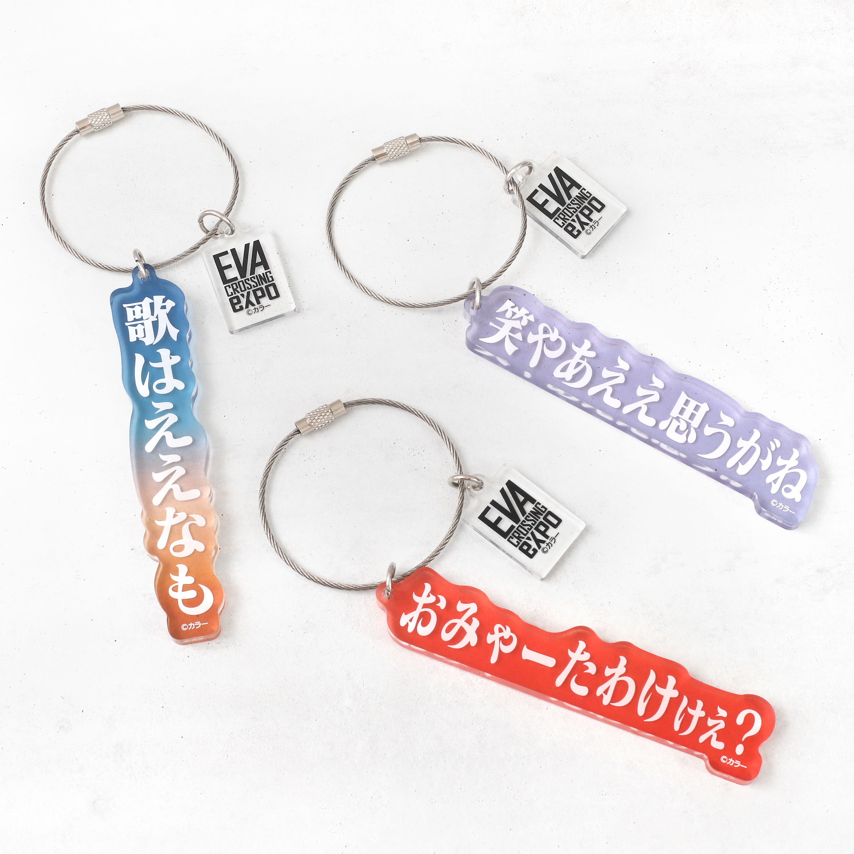 エヴァ エヴァコラボ客室ルームキー 東海 非売品 アスカ レイ