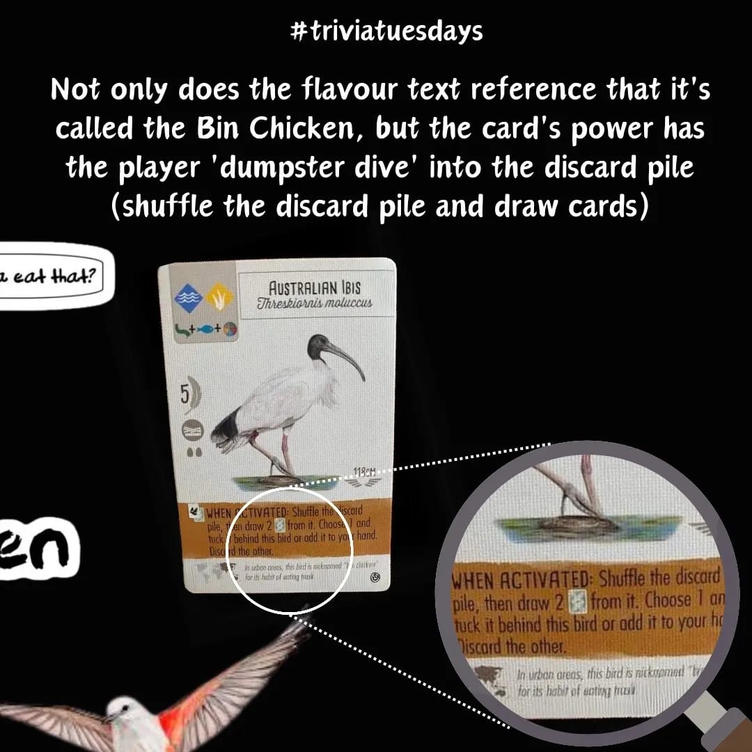 nowboardingcafe's tweet photo. What happens when public activism enters the board gaming community? You get awesome additions to amazing games.

Have you played Wingspan yet? https://t.co/Kh9HxMIjjf