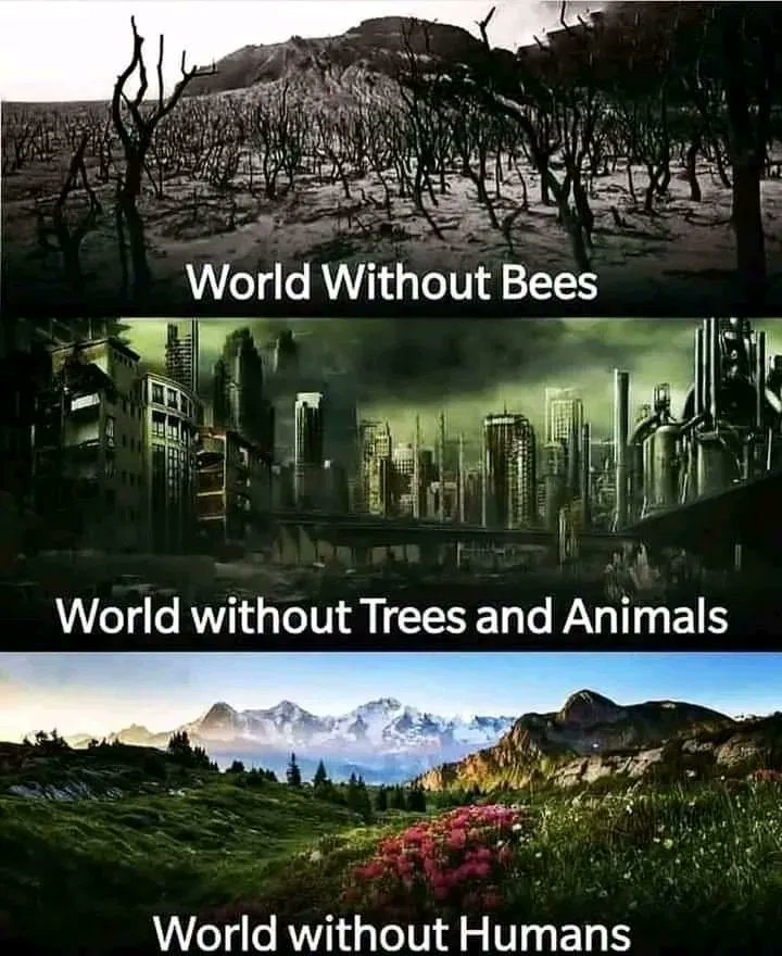 SIGN THE SAVE THE BEES PETITION BELOW: Our bees are dying and their disappearance is a threat to us! FAO on LinkedIn 'Bee means life' (*) ⚈ extinction rate 1000 times higher than normal ; ⚈ 90% of wild flowering plants, & 80% of food crops depend on…