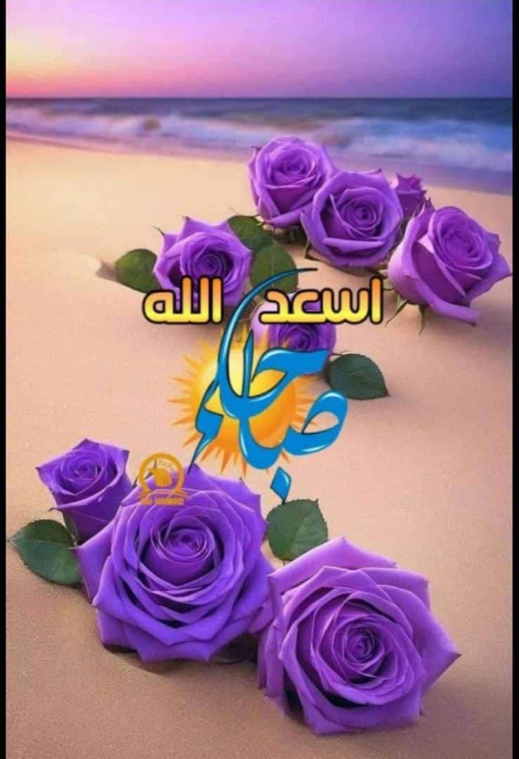 ليـس من بعد العـسر إلا اليـسر
ولا يغلق الله بابًا إلا و يفتح خيرًا منه
وإن ضـاق بك الحـال 
فتذكـر أن غيرك يحلم ببعض ما عنـدك •

فالحمــدلله على كل شيء🍁 صباح الخير كثيراً..🌧️🤍
 #صباح__الخير
#خادم_الحرمين_الشريفين 
#عبدالله_السعيد_مرفوض 
#غزه_مقبرة_الغزاة 
#السعودية_كوريا