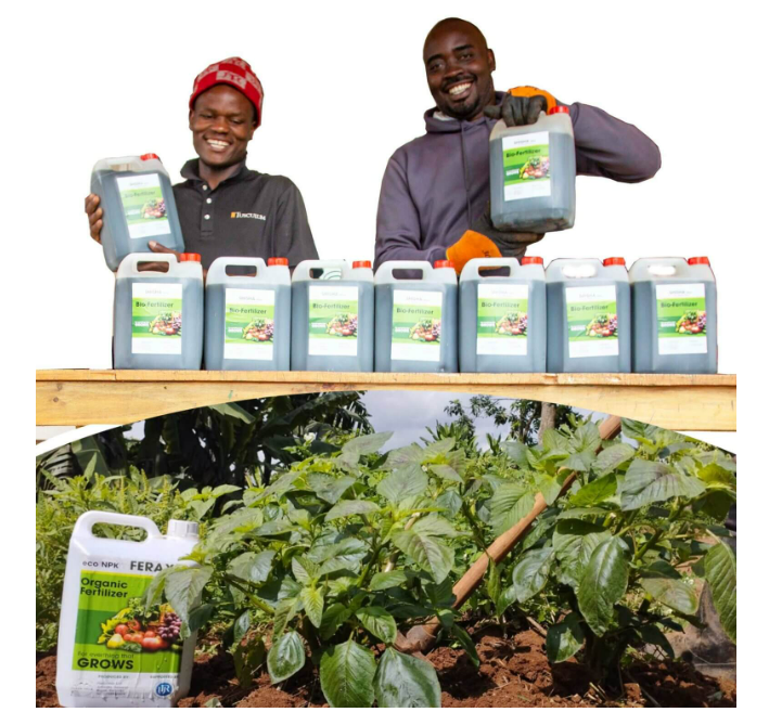 KcoaKhea's tweet photo. KCOA-KHEA Success story from @RwandaRoam  

Title: KHEA multiplier journey from training to profitable bio-fertilizer innovation.
Name of KHEA Multiplier trained on the project; Alphonse Nsengiyumva

Enjoy reading story via this link;
https://t.co/EXwZm5VqU1 

@ifoamorganics https://t.co/OnTu6Wnxse