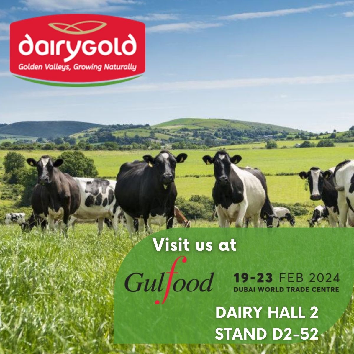 Dairygold will be attending Gulfood 2024 from 19th – 23rdFeb, in Dubai. Be sure to visit us at our stand D2 52 in Dairy Hall 2 to learn about our low carbon Glenor range of Food Ingredients. #gulfood #gulfood2024 @Bordbia