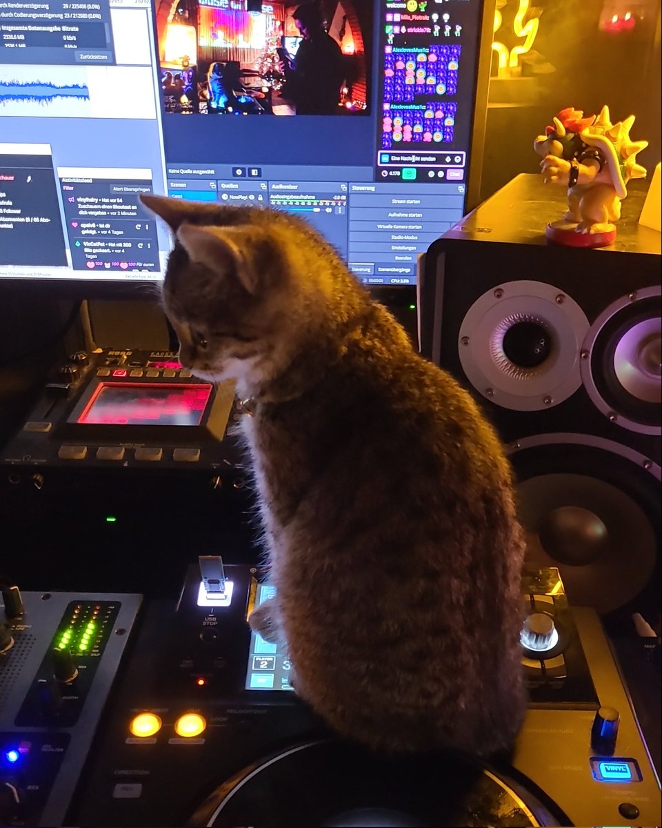 TinaDresen's tweet photo. Today's star at the DJ desks 》little MitzeMitz ❤️  😁
👉 tune in tonight CET 9:00 pm ¿ https://t.co/9ifnaNzNwP ☝️looking forward to #stream with @streamwithmeld 

#twitch #musiclovers #digitalart #MegBes #interactive #innovative #catlover #djing #electronimusiclover #tinetronics https://t.co/64PvgSW0gy