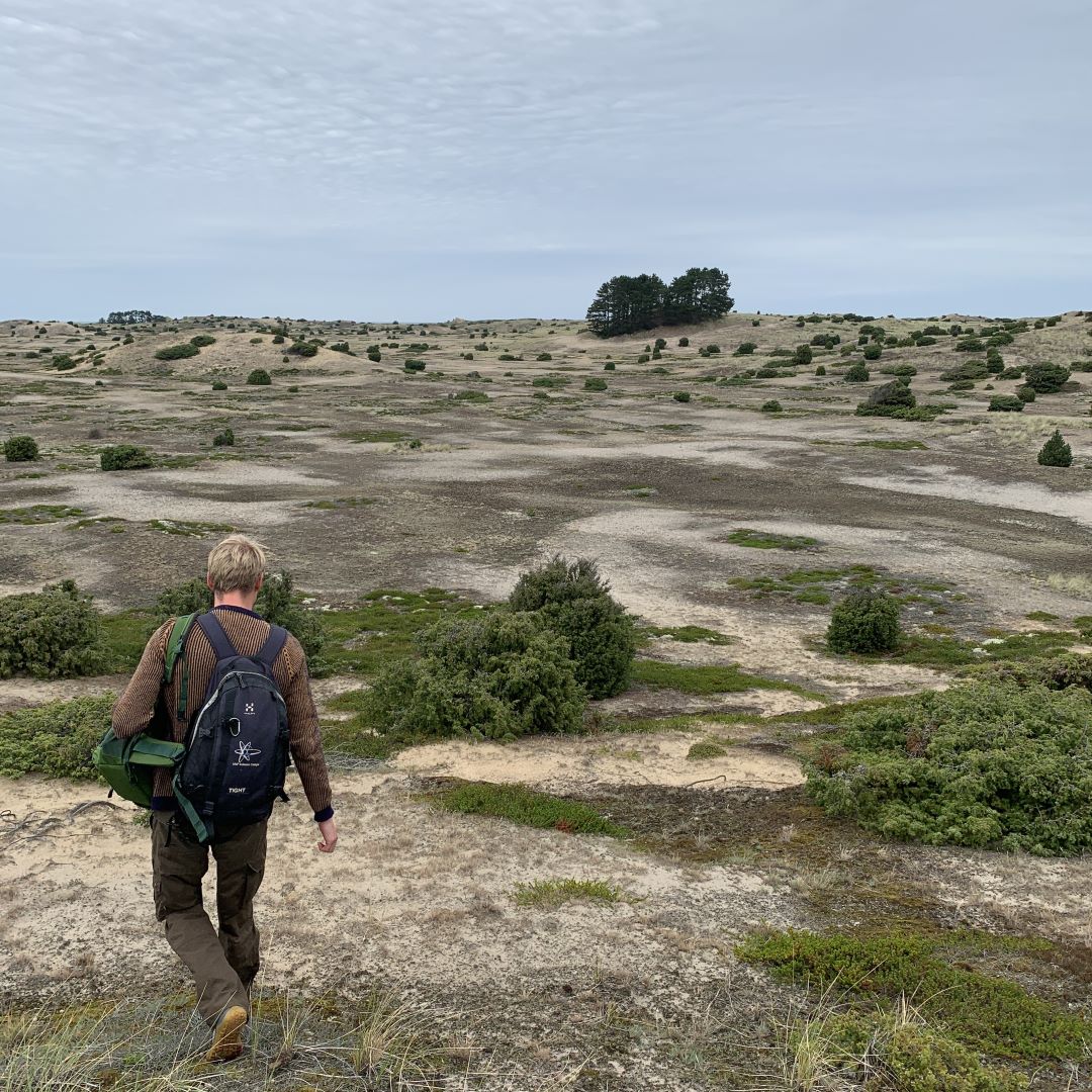 Emma Aller tweet media