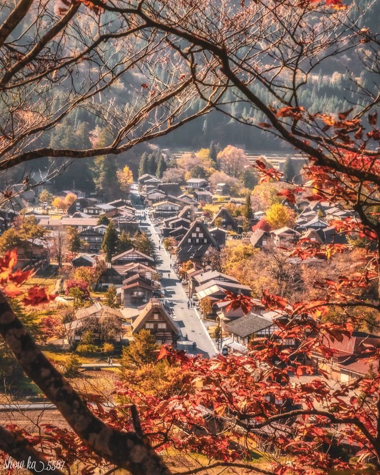 JapanGoEMON_'s tweet photo. The picturesque mountain village of Shirakawa-go in Gifu Prefecture is the perfect place to enjoy the fall foliage in Japan.
📸: Shoko Ishihara
#GoEMON #GoEMONGlobal #Japan #japantravel #Nature #Japanrevealed #peaceful #tips #travel #HOTJAPAN #destination #places https://t.co/yUBDDAkd2o
