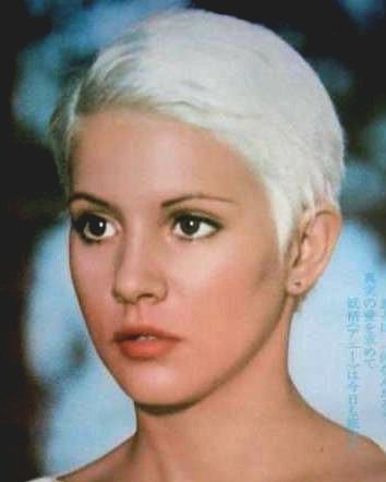 TheFilmFair's tweet photo. #AnnieBelle RIP
#HouseOnTheEdgeOfThePark #Absurd #TigerJoe #TheAlcove #Laura #CrossOfTheSevenJewels #BlackEmmanuelleWhiteEmmanuelle #LipsOfBlood https://t.co/0ZKeSE2jLy
