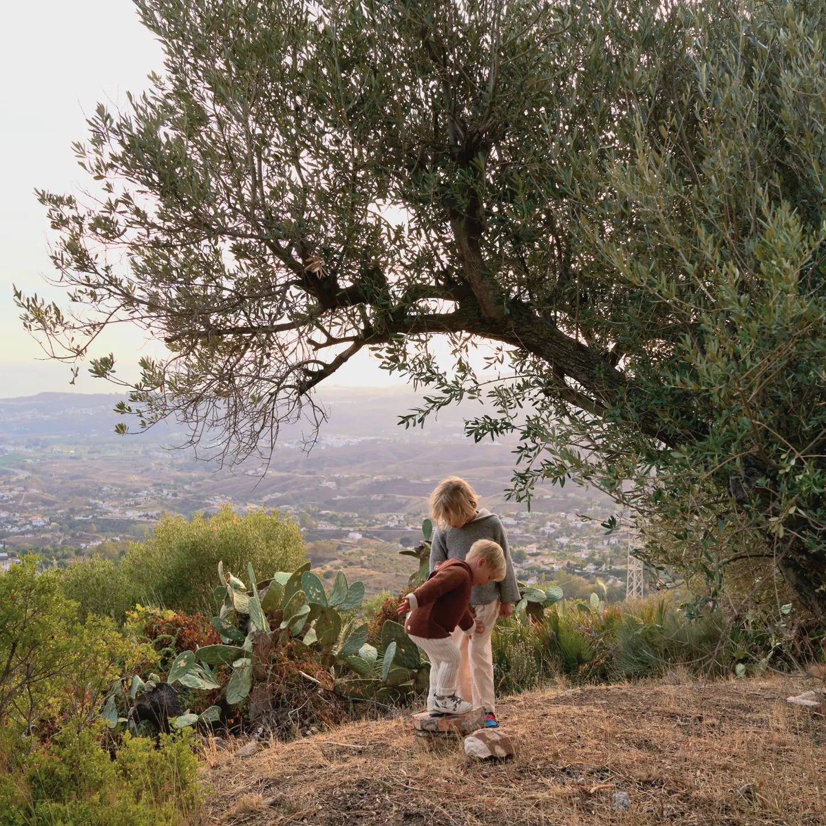 katrinatang.eth I GENESIS DROP ON ▲●■ tweet media