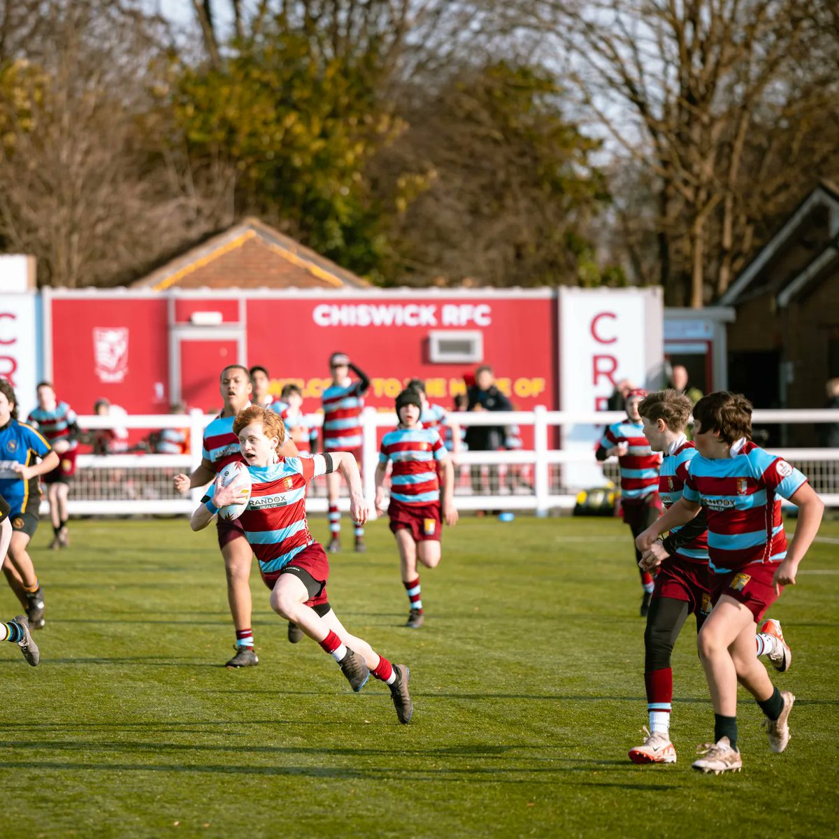 Chiswick RFC Juniors tweet media