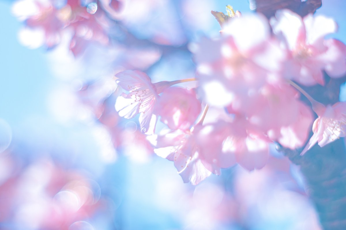 みそのたけ。 (@misono_take) / Posts / X