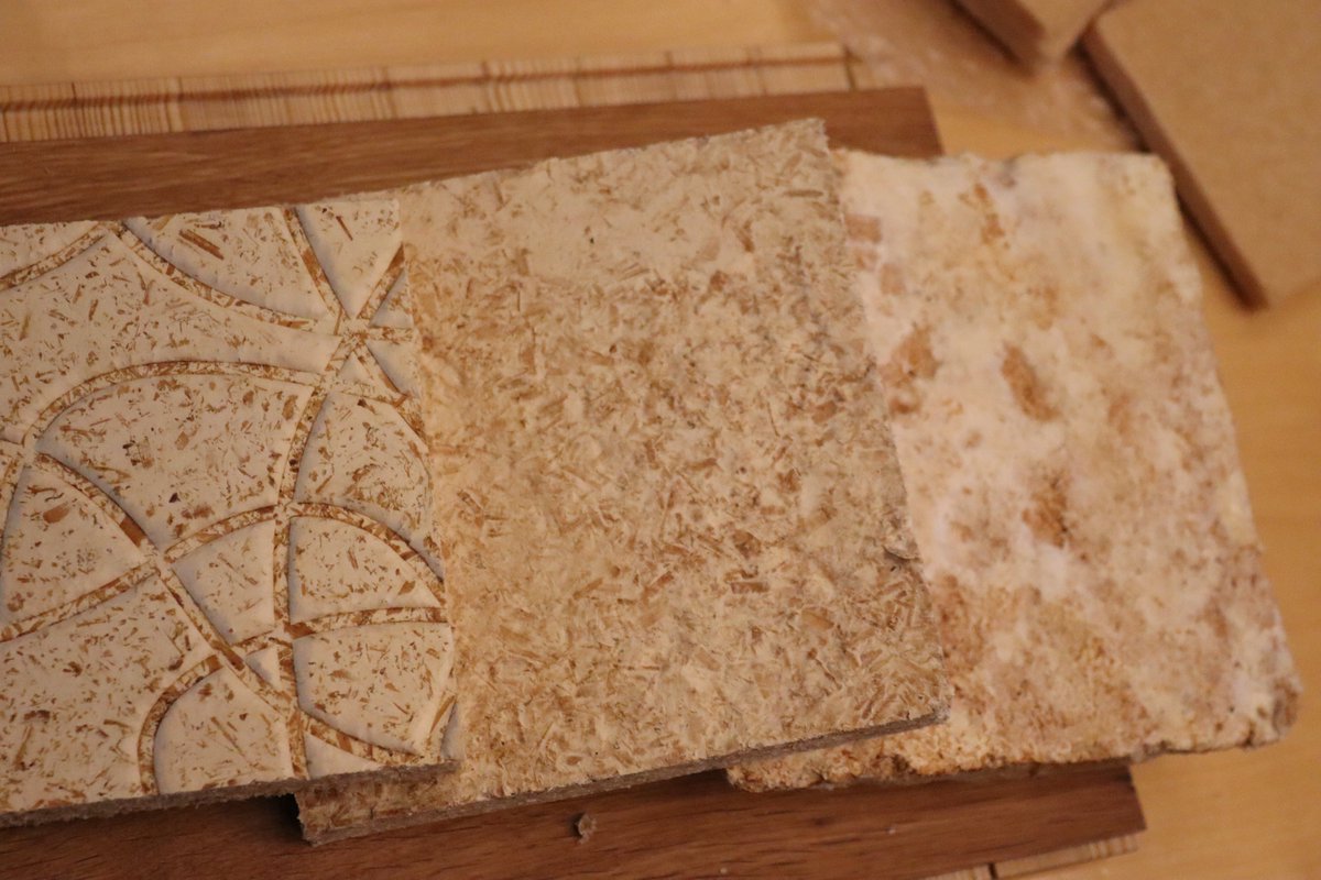 BIOBUILD tweet media