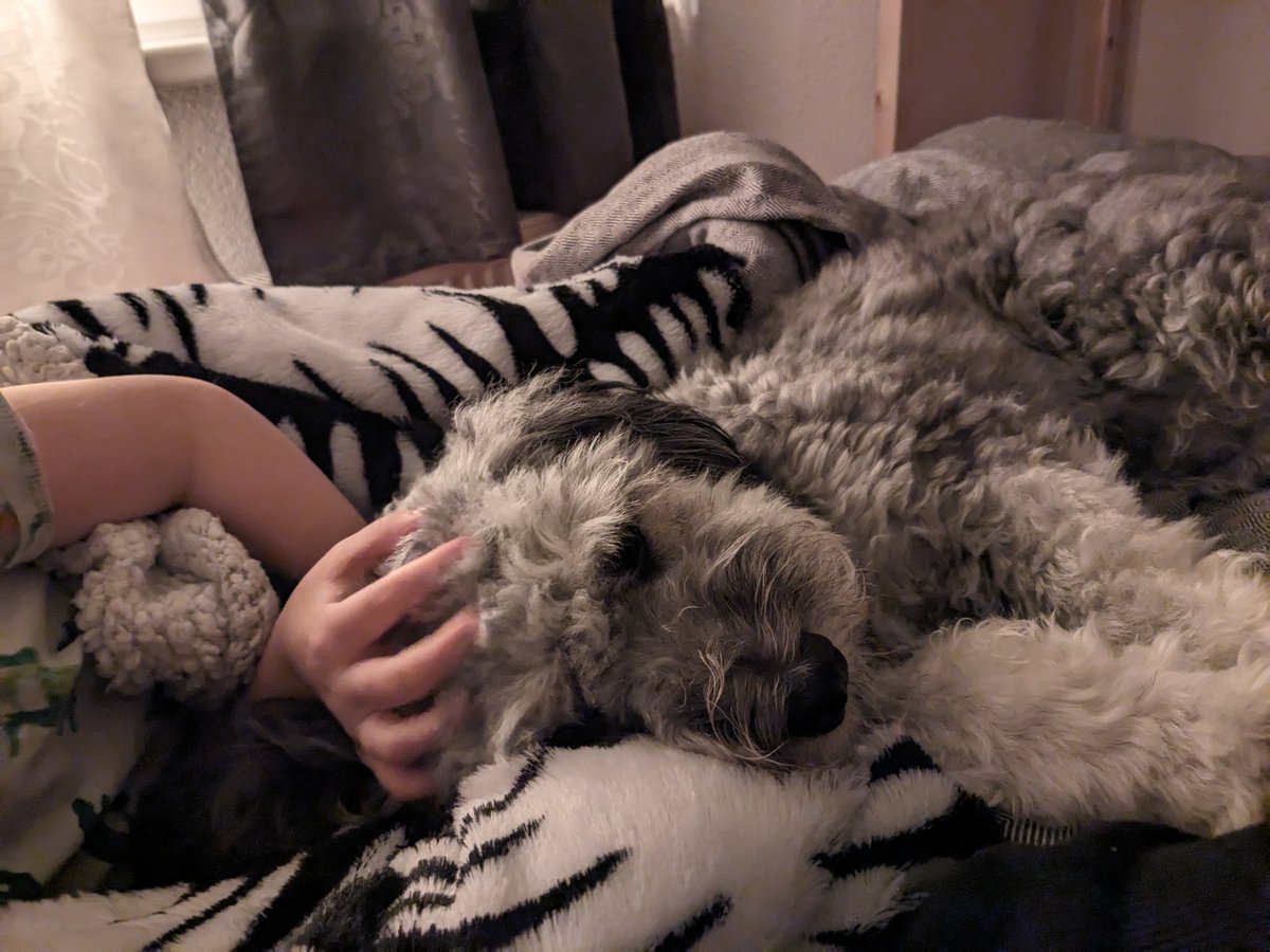 KLM und MGM sind krank, ich hab Kuscheldienst.