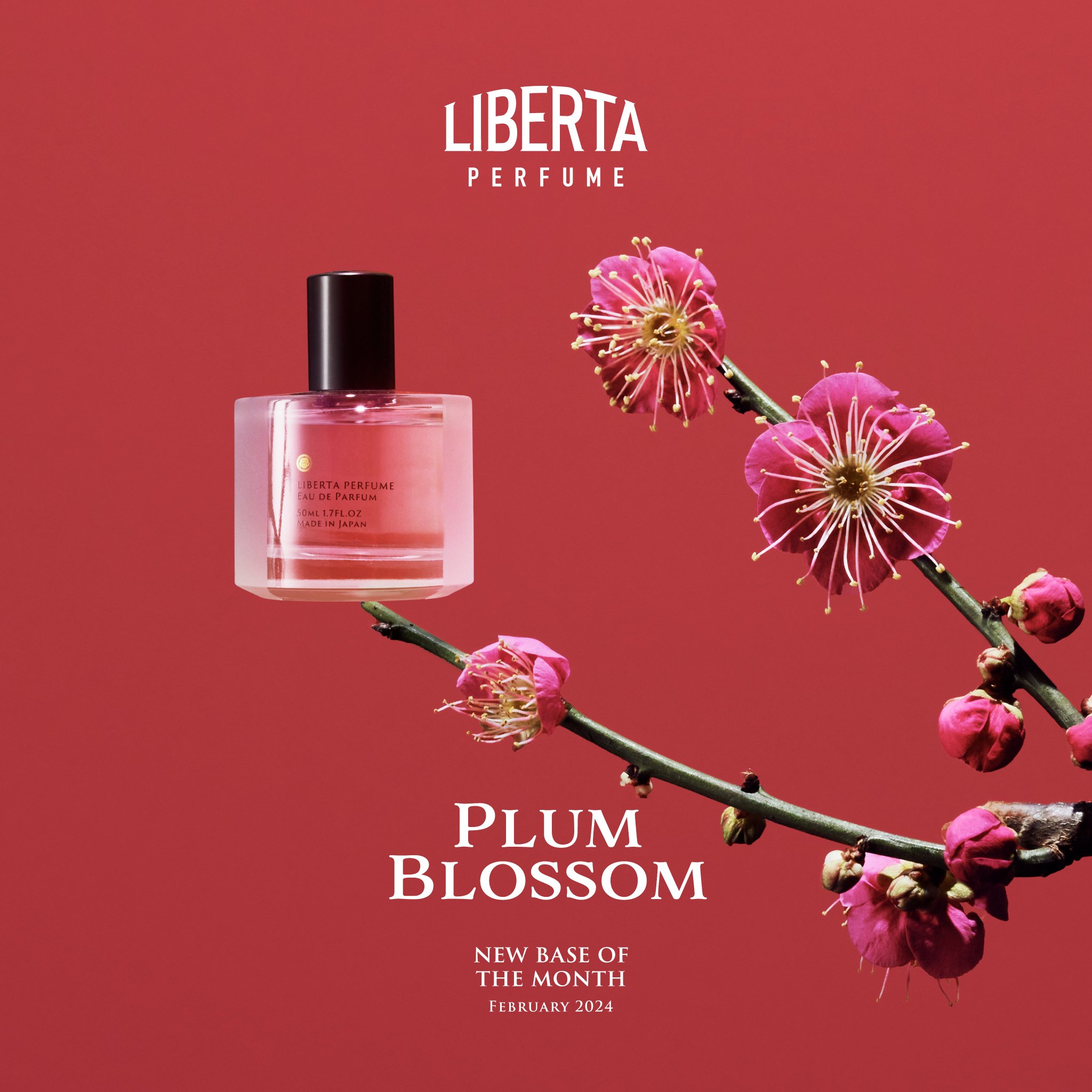 LIBERTA Perfume(リベルタパフューム) フラクタス オードパルファム 15ml – Liberta Perfume（リベルタ