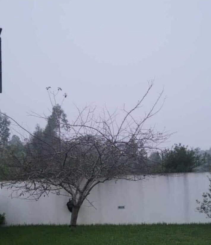 diegopasjalidis's tweet image. Ves un #lago o una #pared?