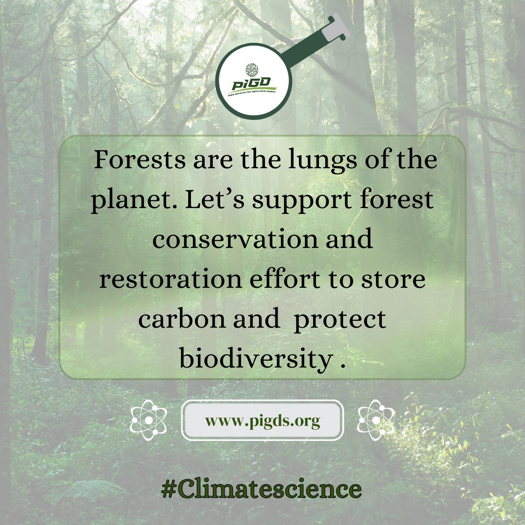 Let’s grow a greener future by adopting the habit of planting trees in our environment. #afforestation #treeplanting #savetheearth #biodiversity