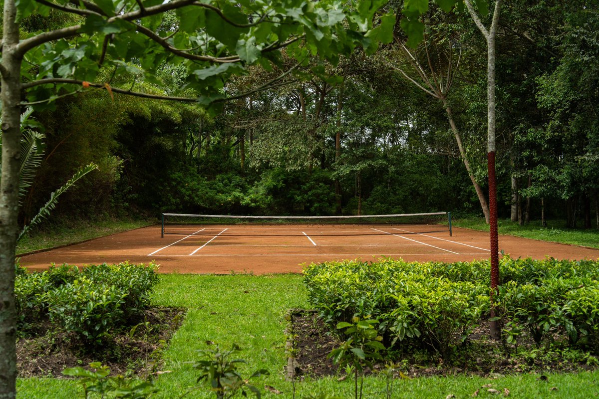 Kyaningalodge's tweet photo. Did you know you can enjoy outdoor games amidst the breathtaking landscapes of Kyaninga Lodge?
From tennis to badminton, croquet, and French boule โ with a touch of elegance under the open sky โ๏ธ๐ธ
#OutdoorGames #SafariLeisure #NaturePlay #GameTimeFun #LodgeLife https://t.co/yNSrReXYLD