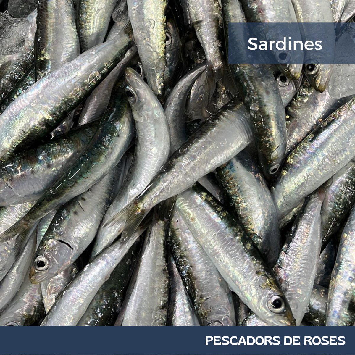 Us agraden les sardines? Nosaltres sempre les recomanem 💙 La Carol, la Jenni i la Maria us les preparen a punt per cuinar 😀 així no fa mandra.