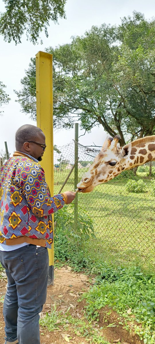 Baby Diamond under the guardianship of @DTBUganda is my stress buster at @UWEC_EntebbeZoo. I have dedicated this day to observe him.