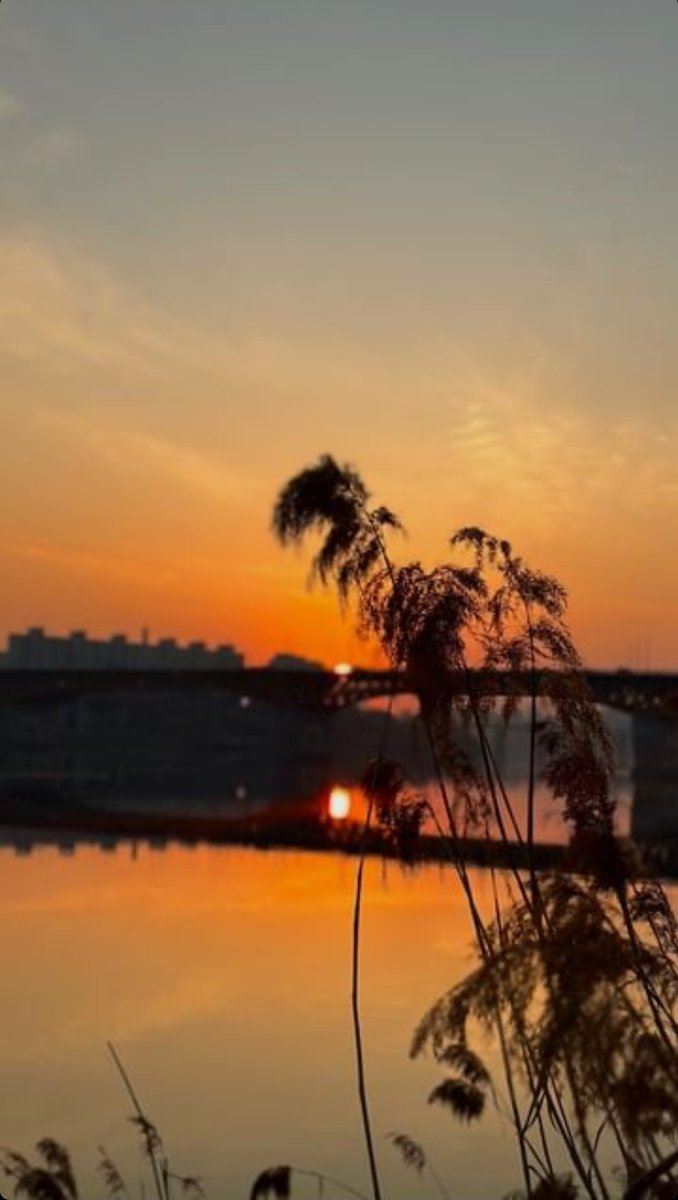 장기용 (@juanxkuy) on Twitter photo 