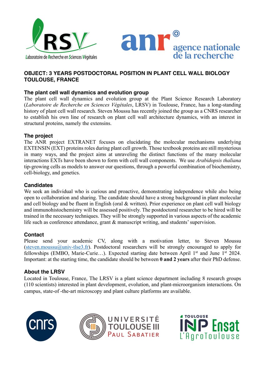 3-year postdoc position still available / Come study plant cell walls in Toulouse, France !