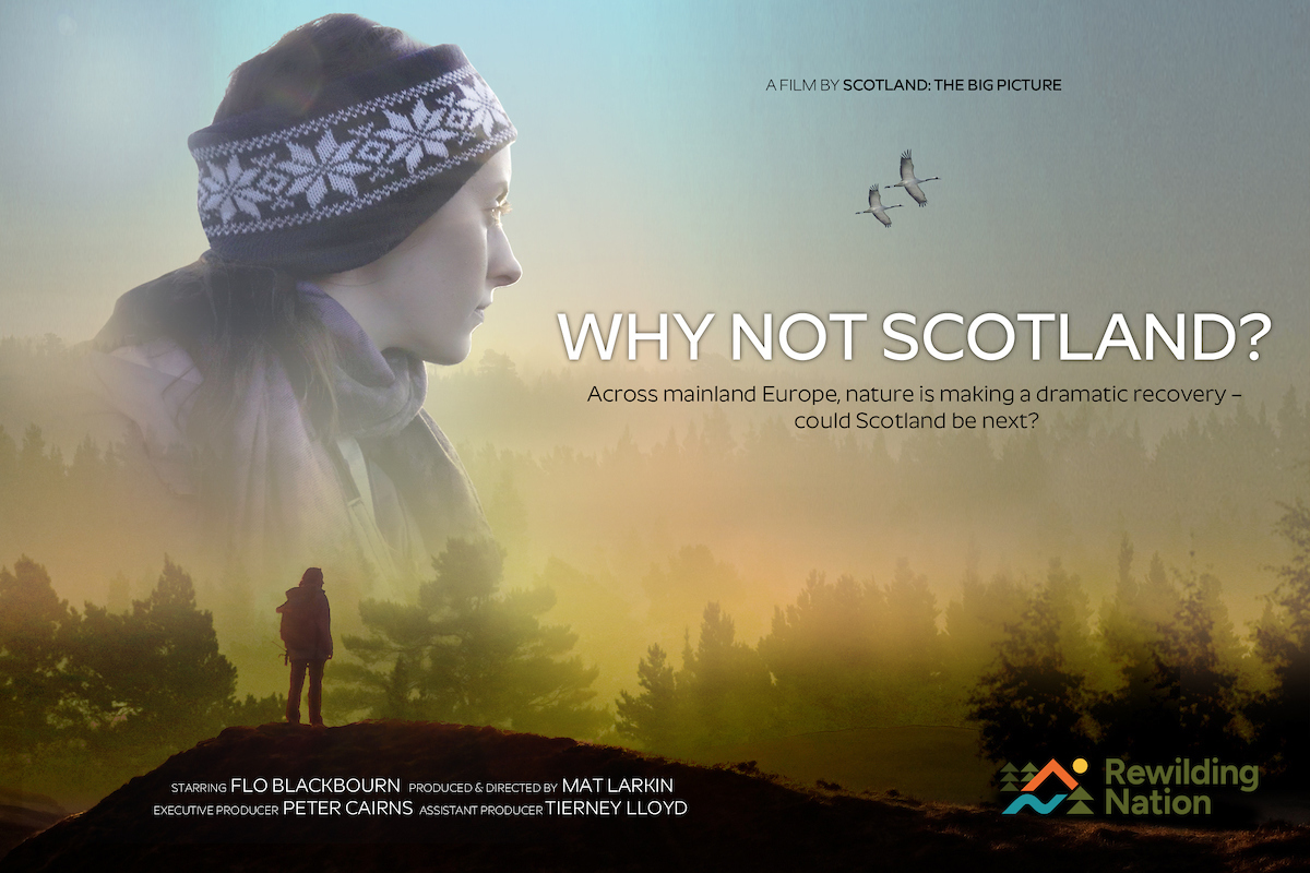 I'm so glad this film is finally emerging onto the big screen - it's been a long road for the brilliant @ScotlandTBP team. Book a free place at a screening and ask yourself: if #rewilding can happen elsewhere, then Why Not Scotland? lnkd.in/eyt-q9b9 #RewildingNation