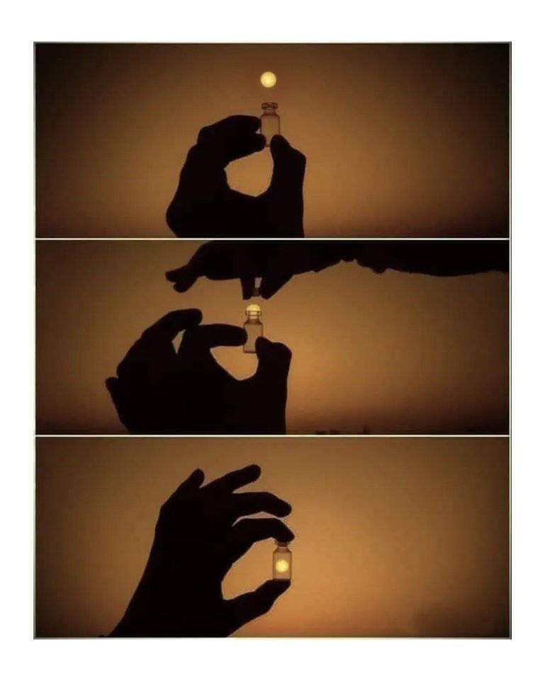 BeniAli⭐⭐🌙 🇵🇰 tweet media