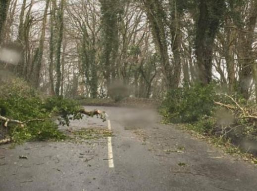 #StormKathleen bringing strong winds today. Watch out for fallen trees across the road network. Slow down, expect the unexpected. Allow extra time & anticipate debris as you travel. trafficwatchni.com/twni/ for latest updates @NIRoadPolicing @deptinfra @barrabest @nifrsofficial