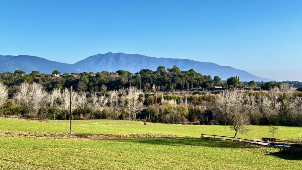 delriomiquel's tweet photo. Paisatges de Cardedeu 🌱🫁
@meteocat @btveltemps @AEMET_Cat @eltempsTV3 #eltempstv3 @TomasMolinaB @meteorac1 @ARAmeteo @SoniaPapell #fotovalles_votv @ElTiempo_tve @ElTiempoA3 @MeteoMauri @eloicordomi @SergiLoras @ElTiempoes @tiempobrasero @gemmapuigf #meteo @XFreixes #celblau https://t.co/eX4BJOSwro