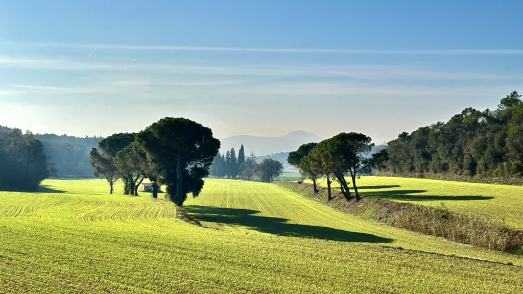 delriomiquel's tweet photo. Paisatges de Cardedeu 🌱🫁
@meteocat @btveltemps @AEMET_Cat @eltempsTV3 #eltempstv3 @TomasMolinaB @meteorac1 @ARAmeteo @SoniaPapell #fotovalles_votv @ElTiempo_tve @ElTiempoA3 @MeteoMauri @eloicordomi @SergiLoras @ElTiempoes @tiempobrasero @gemmapuigf #meteo @XFreixes #celblau https://t.co/eX4BJOSwro