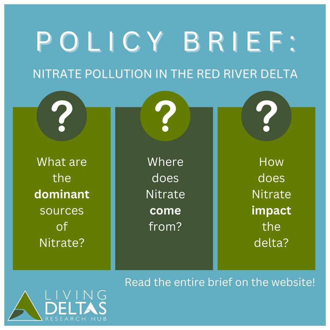 🌊 New #PolicyBrief out now! Tackling Nitrate Pollution in the Red River Delta. Discover the sources, pathways, &amp; impacts of nitrates on this crucial ecosystem.
🔬 Get insights crucial for sustainable delta management.💧Read the full brief:buff.ly/3vRDLEV 
#RedRiverDelta