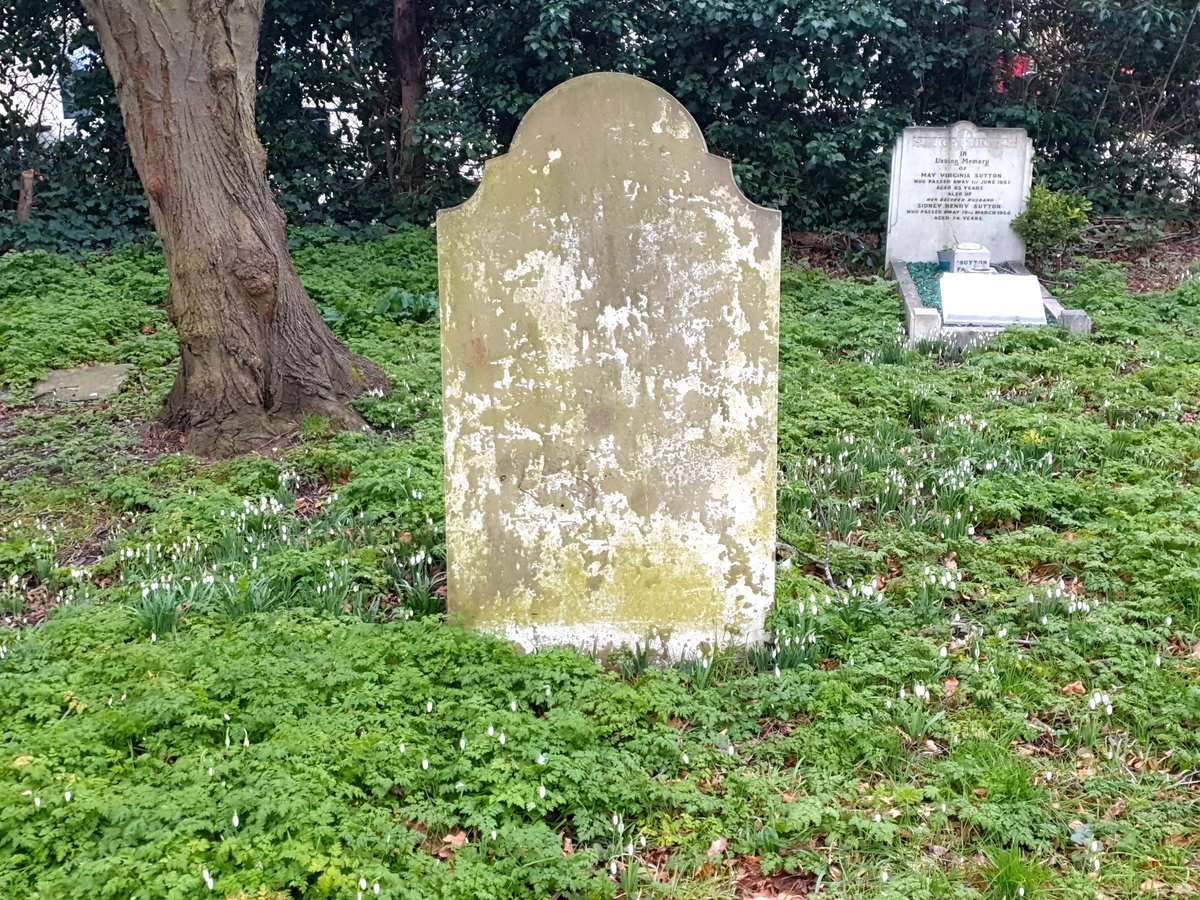 Jonathan Evens tweet media