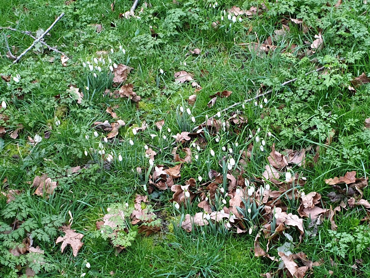 Jonathan Evens tweet media