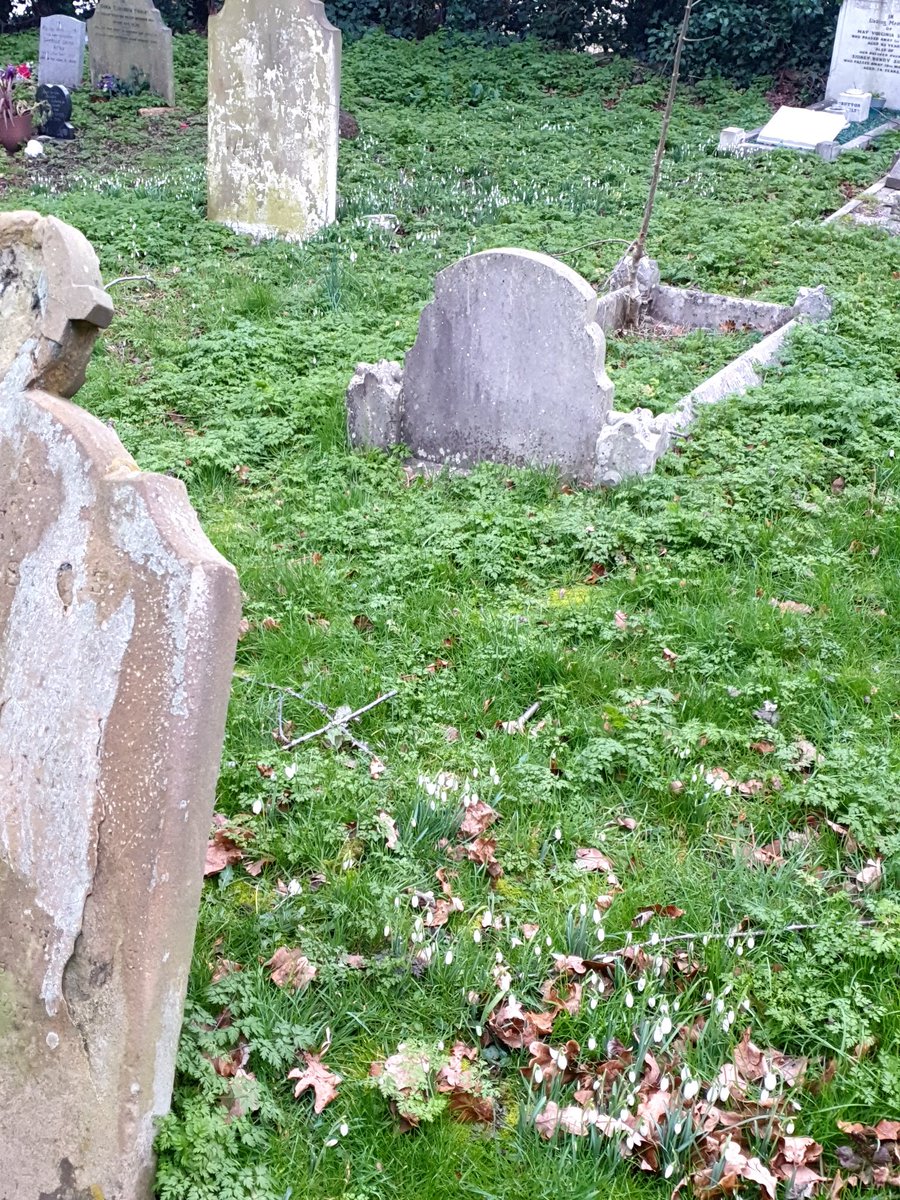 Jonathan Evens tweet media