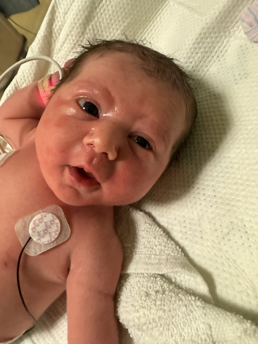 NO HOPE IN POPE tweet media