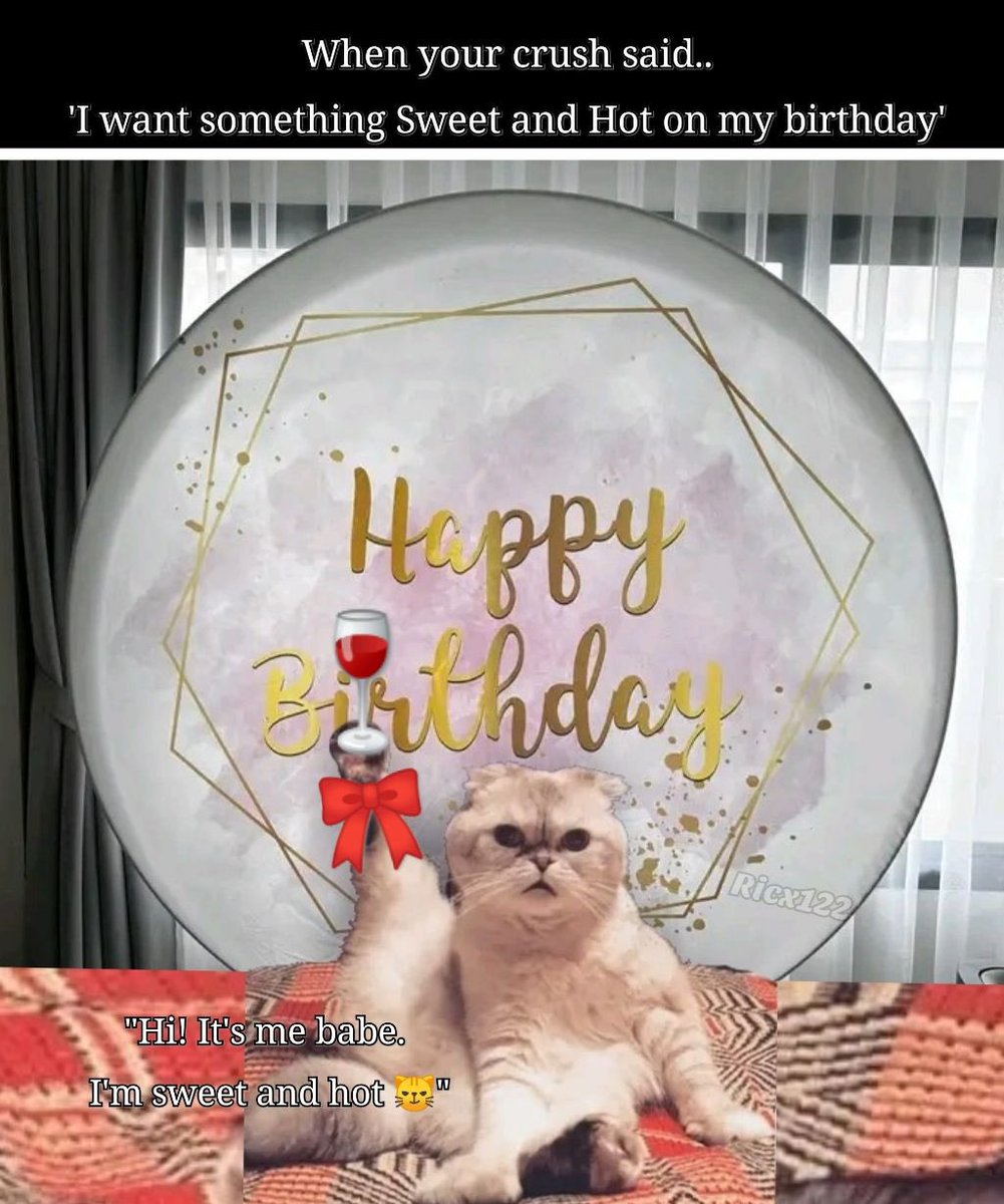 dyorable12's tweet image. Happy Dibble’s Day!

 $DIBBLE #DIBBLE #memecoins