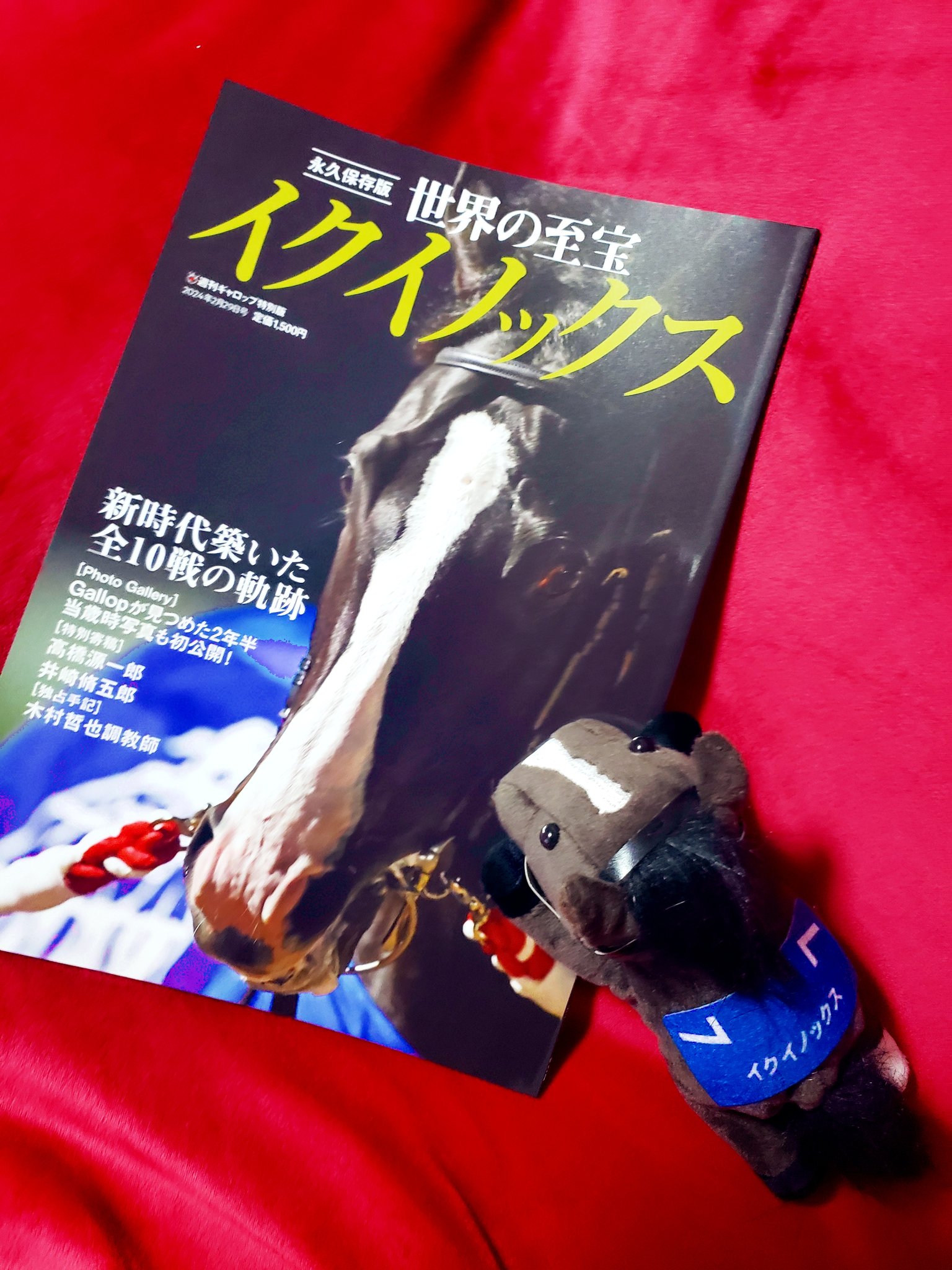 【新品】【値下げしました】アイドルホース15体 アイドルホース記念-芝1800㍍-🐴 (@JoieDeVivre82) / X