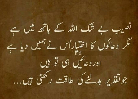 sheikh salman (@sheikhs00088768) on Twitter photo 