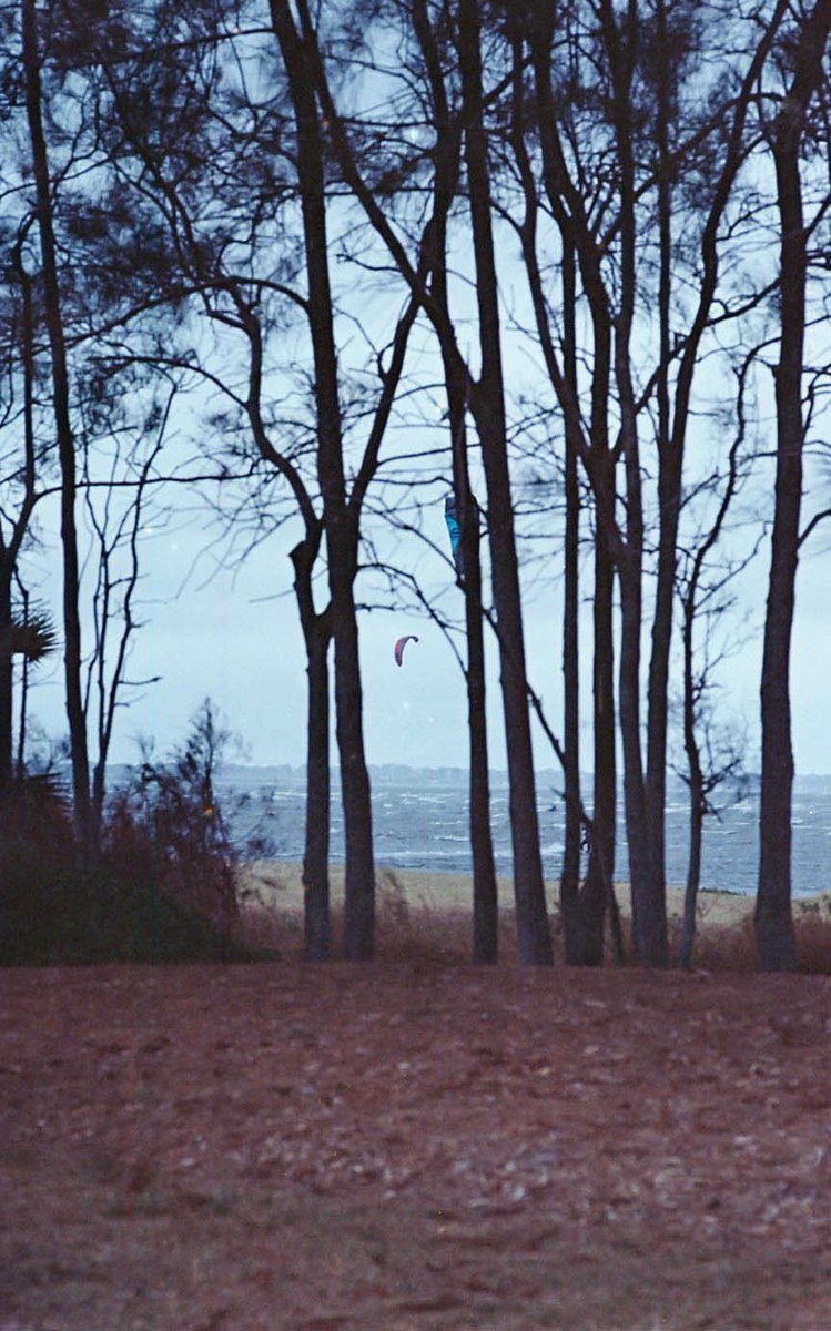 Trees in the Breeze

Camera: Fujica ST 801 55mm
Film: Kodak 400 exp 06/14
Dev: ECN-2
Scan: Epson V550