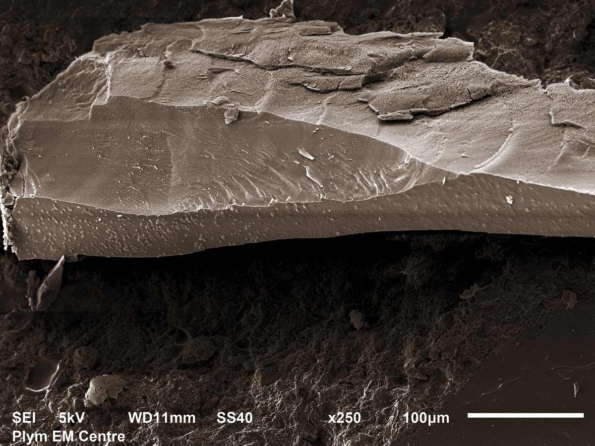 Happy #NationalHotChocolateDay ☕ Here's an image of some chocolate we took on our @JEOLEUROPE 6610 LV SEM with @Quorum_UK PP3000 Cryo-system ❄ #ElectronMicroscopy #CryoSEM #Chocolate #Research