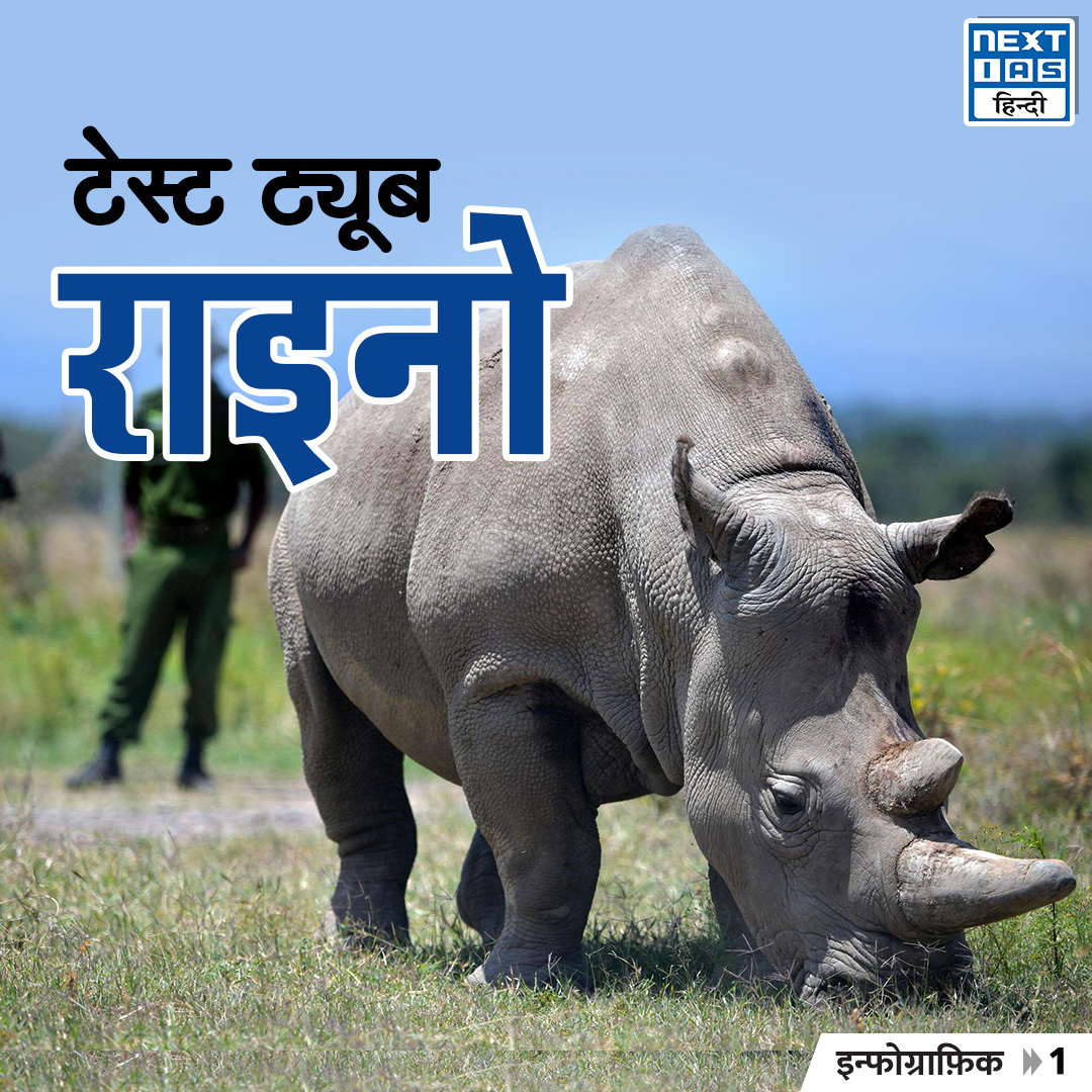NEXTIAS_HINDI's tweet photo. डेली इन्फोग्राफ़िक्स (31-01-2024)
विषय:"टेस्ट ट्यूब राइनो और (IVF)तकनीक"

#NEXTIASInfographic #testtube #rhinos #ceratotheriumsimum #IVFtechnology #ivfbaby #MedicalScience  #technology #upsc #upscprelims #IAS #upscpreparation #knowledge #civilservicesexam #NEXTIAS #NEXTIASHindi https://t.co/Po31x0xadh