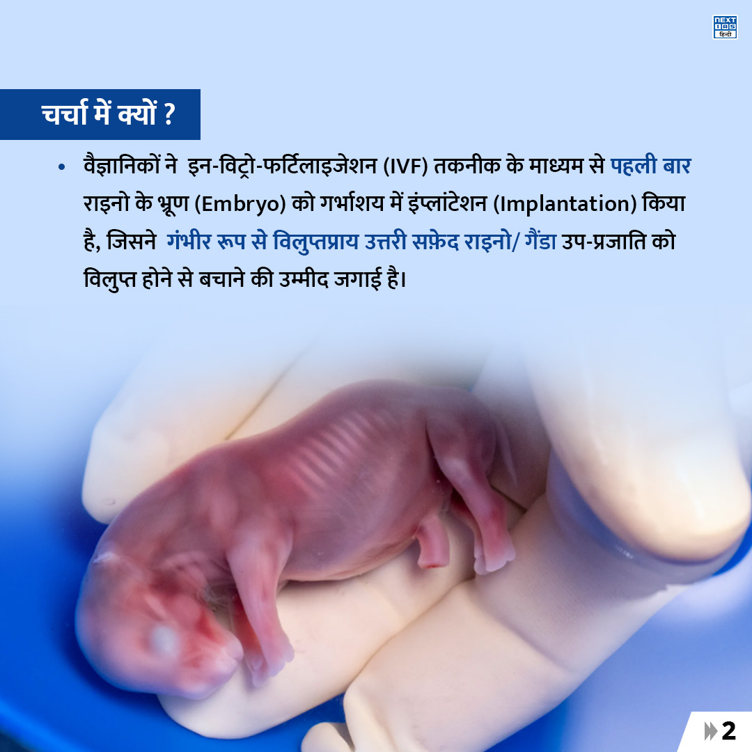 NEXTIAS_HINDI's tweet photo. डेली इन्फोग्राफ़िक्स (31-01-2024)
विषय:"टेस्ट ट्यूब राइनो और (IVF)तकनीक"

#NEXTIASInfographic #testtube #rhinos #ceratotheriumsimum #IVFtechnology #ivfbaby #MedicalScience  #technology #upsc #upscprelims #IAS #upscpreparation #knowledge #civilservicesexam #NEXTIAS #NEXTIASHindi https://t.co/Po31x0xadh